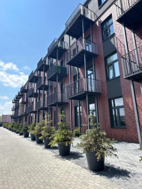Apartament OPAL2 Mickiewicza
